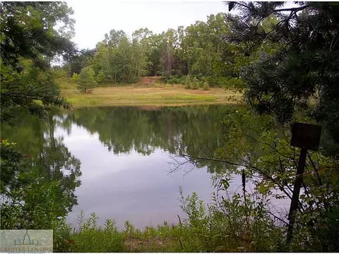 12593 Tustin Way, Dewitt, MI 48820 photo 2