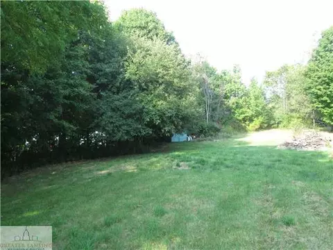 9027 Bridge, Dimondale, MI 48821 photo 4