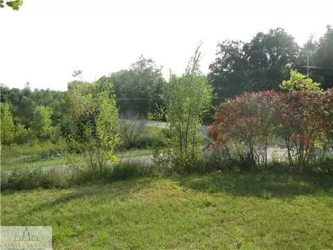 9027 Bridge, Dimondale, MI 48821 photo 5