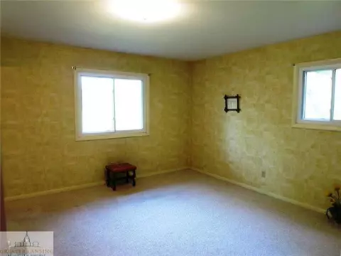 4229 W Howe Rd, Dewitt, MI 48820 photo 13