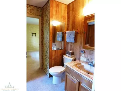 4229 W Howe Rd, Dewitt, MI 48820 photo 15