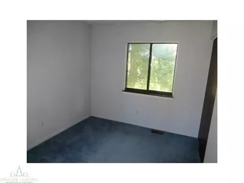 11120 Upton Rd, Bath, MI 48808 photo 9