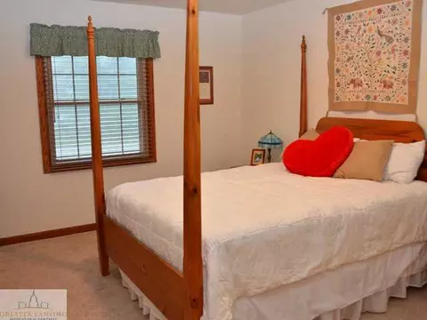 720 Piper Rd, Haslett, MI 48840 photo 18