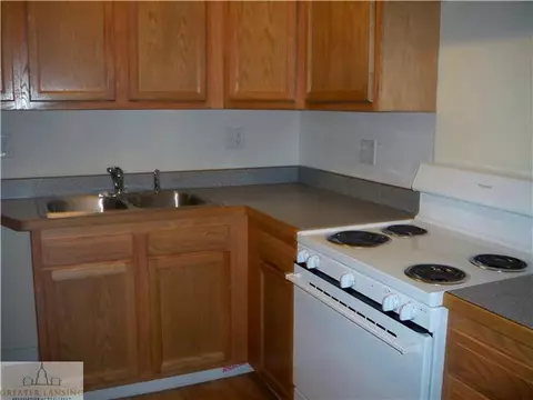 210 N N Brg, Dewitt, MI 48820 photo 2
