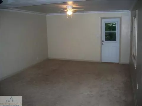 210 N N Brg, Dewitt, MI 48820 photo 3