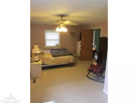 308 Elm St, Mason, MI 48854 photo 13