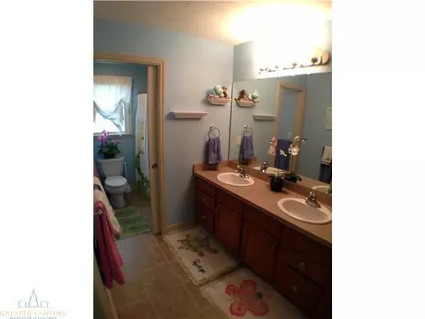 11860 Murano Dr, Dewitt, MI 48820 photo 18