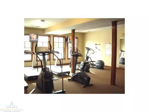 11860 Murano Dr, Dewitt, MI 48820 photo 23