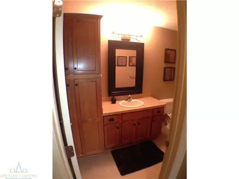 11860 Murano Dr, Dewitt, MI 48820 photo 19