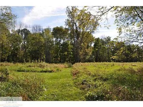 1563 Roshowa Ter, Lyons, MI 48851 photo 24