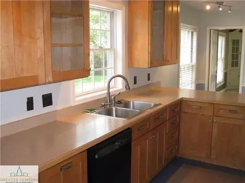 303 N N Brg, Dewitt, MI 48820 photo 10