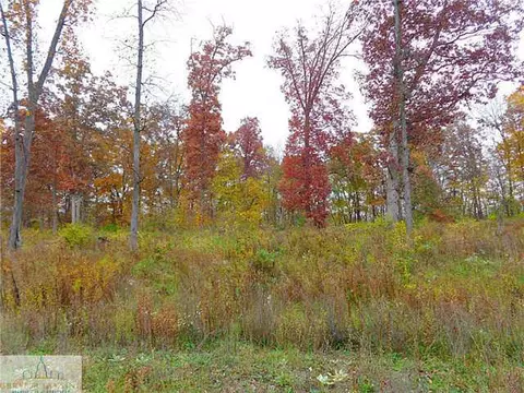 7507 Oaklane Rd, Lyons, MI 48851 photo 14