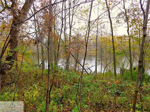 7507 Oaklane Rd, Lyons, MI 48851 photo 11