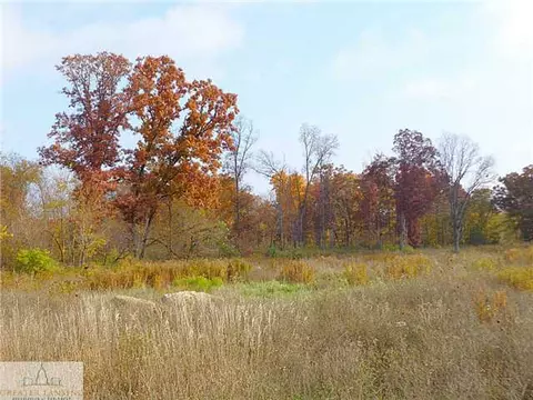 7507 Oaklane Rd, Lyons, MI 48851 photo 10