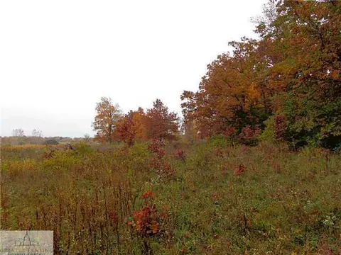 7507 Oaklane Rd, Lyons, MI 48851 photo 6