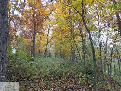 7507 Oaklane Rd, Lyons, MI 48851 photo 20