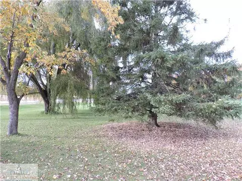 13603 S M-52, Perry, MI 48872 photo 24