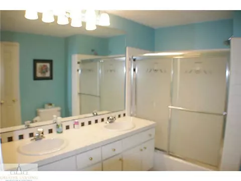 702 Windyrush Ln, Dewitt, MI 48820 photo 18