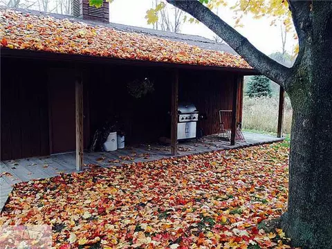 4290 Sleight Rd, Bath, MI 48808 photo 21