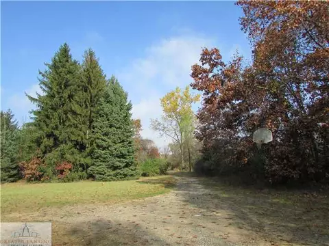 7375 W Lansing Rd, Perry, MI 48872 photo 3