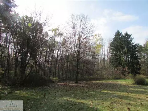 7375 W Lansing Rd, Perry, MI 48872 photo 25