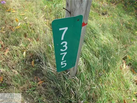 7375 W Lansing Rd, Perry, MI 48872 photo 2