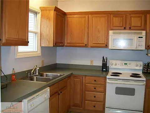 131 E Barnes Ave, Lansing, MI 48910 photo 10