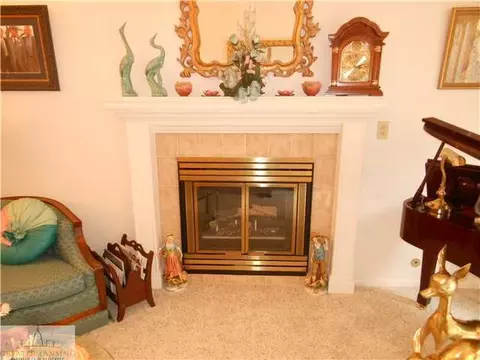 6530 Springtree, Lansing, MI 48917 photo 6