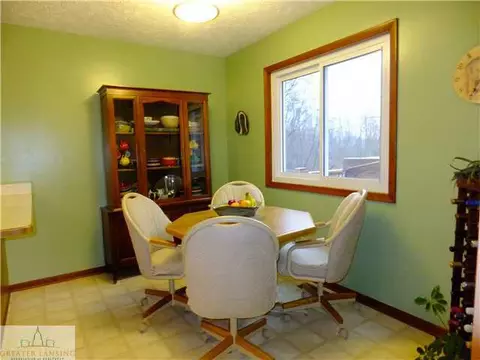 107 E Newman Rd, Williamston, MI 48895 photo 11