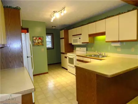 107 E Newman Rd, Williamston, MI 48895 photo 9