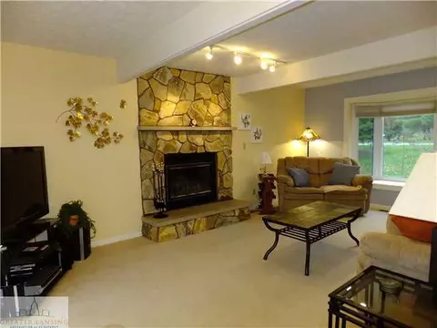107 E Newman Rd, Williamston, MI 48895 photo 6