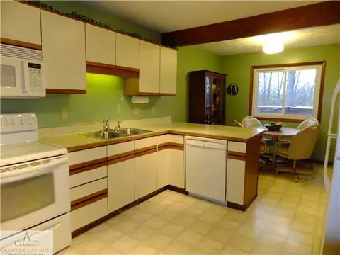 107 E Newman Rd, Williamston, MI 48895 photo 10