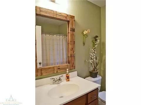 1201 Lobelia Ln, Dewitt, MI 48820 photo 22