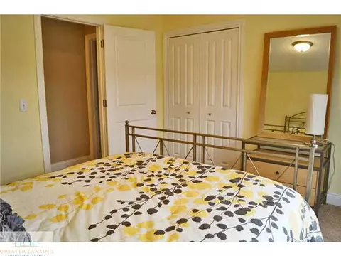 1201 Lobelia Ln, Dewitt, MI 48820 photo 19