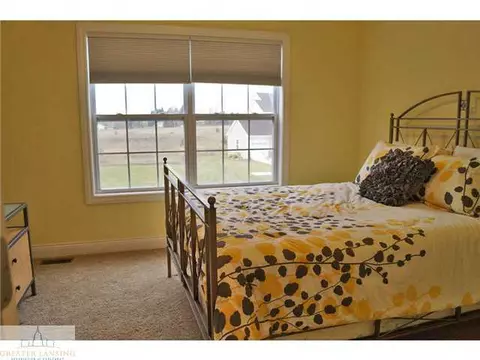 1201 Lobelia Ln, Dewitt, MI 48820 photo 18