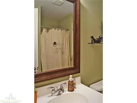 1201 Lobelia Ln, Dewitt, MI 48820 photo 14