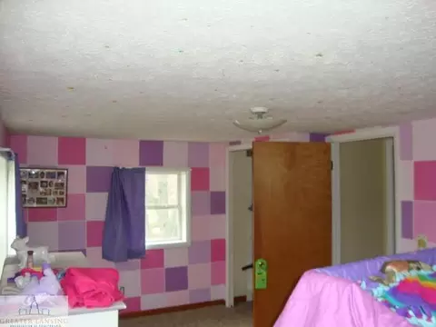 3224 Miller Rd, Perry, MI 48872 photo 17