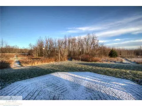 4250 W Cutler, Dewitt, MI 48820 photo 24