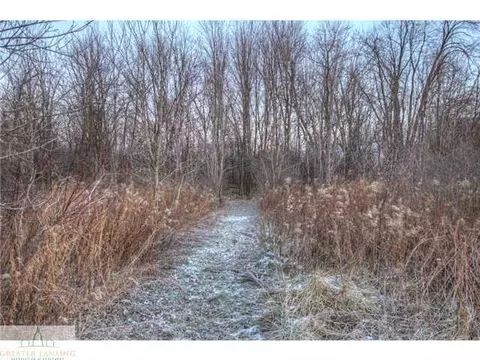 4250 W Cutler, Dewitt, MI 48820 photo 25