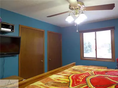 3407 Douglas Rd, Williamston, MI 48895 photo 11