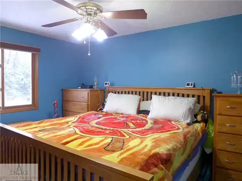 3407 Douglas Rd, Williamston, MI 48895 photo 10