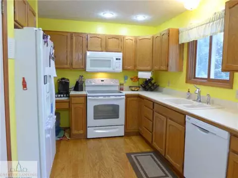 3407 Douglas Rd, Williamston, MI 48895 photo 3