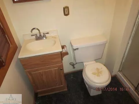 4425 E Britton Rd, Bancroft, MI 48414 photo 5
