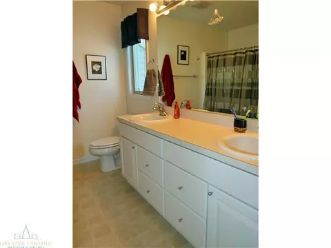 8692 Jacaranda, Dimondale, MI 48821 photo 12