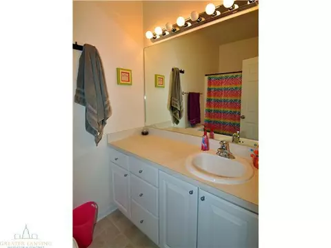 8692 Jacaranda, Dimondale, MI 48821 photo 19