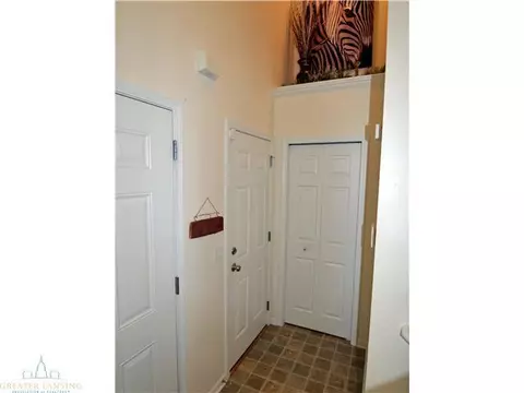 8692 Jacaranda, Dimondale, MI 48821 photo 15
