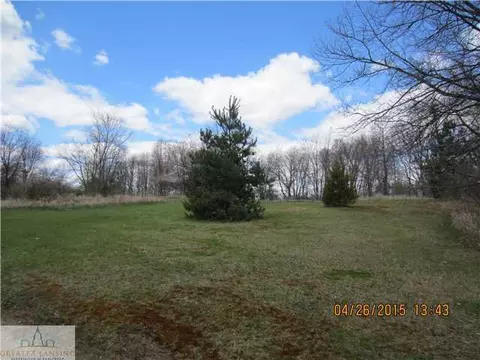 11100 Brown, Springport, MI 49284 photo 9