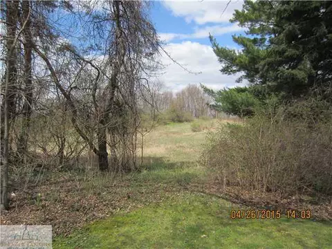 11100 Brown, Springport, MI 49284 photo 11