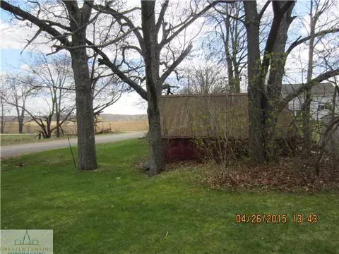 11100 Brown, Springport, MI 49284 photo 6