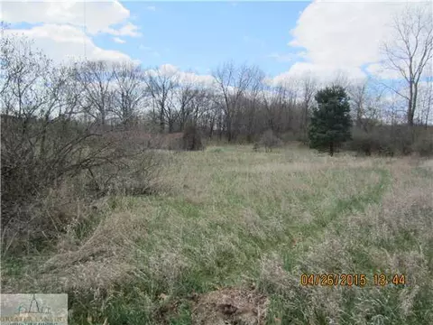 11100 Brown, Springport, MI 49284 photo 10